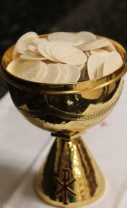 Eucharistic Ministers